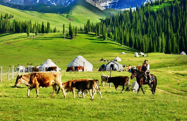 定了！乡村旅游三年目标