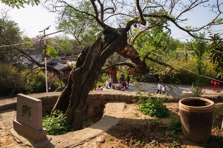 探秘《山河锦绣》拍摄地（二）——河南省郏县王英沟村