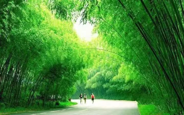 创新消费场景 河南景区纷纷“上新”