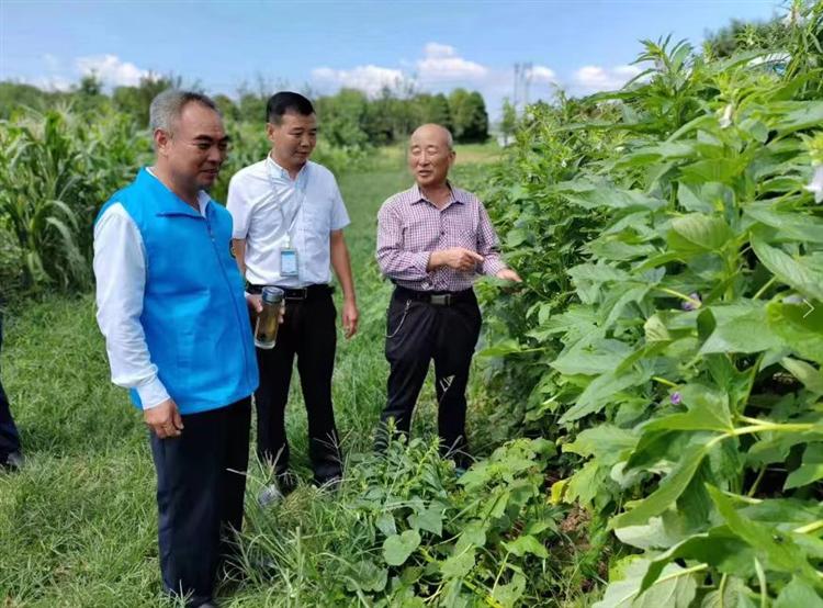 “一村一品”定点助农帮扶计划 首批1万家生态农场开始申报