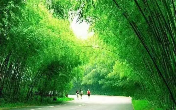 《墟里烟火：59个中国村寨密码》2：重渡沟，帝王的山水注脚 自然的水墨长卷